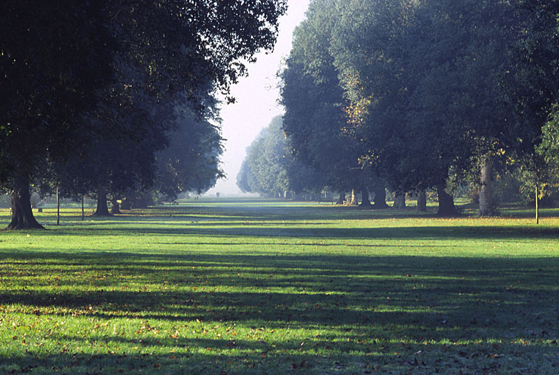 Kew Gardens